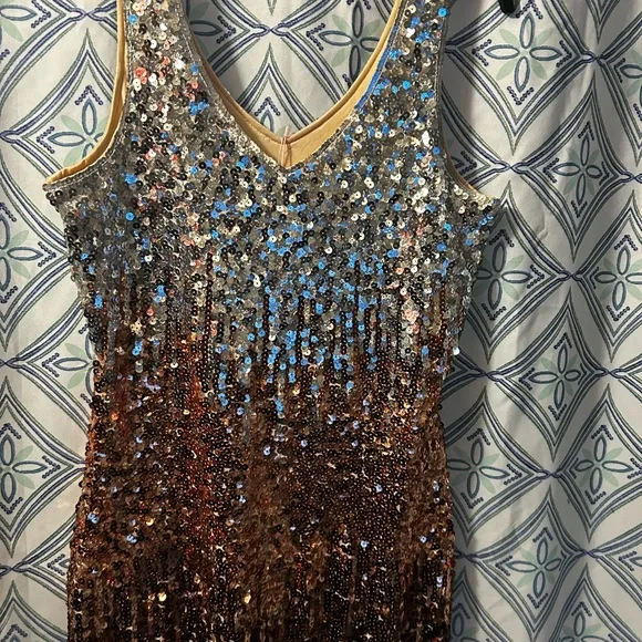NWT Sequin Ombre Sleeveless Dress w/Perfectly in Tact Embellishments and Lined - Picture 10 of 16